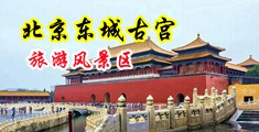 白虎美女操逼网站中国北京-东城古宫旅游风景区