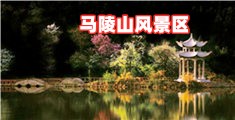 操骚奶头视
